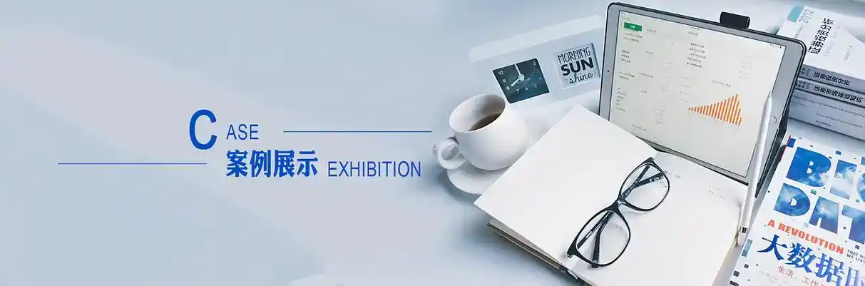 方正县软件开发